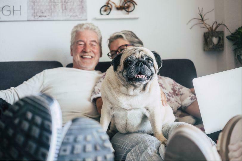 Couple on couch with dog