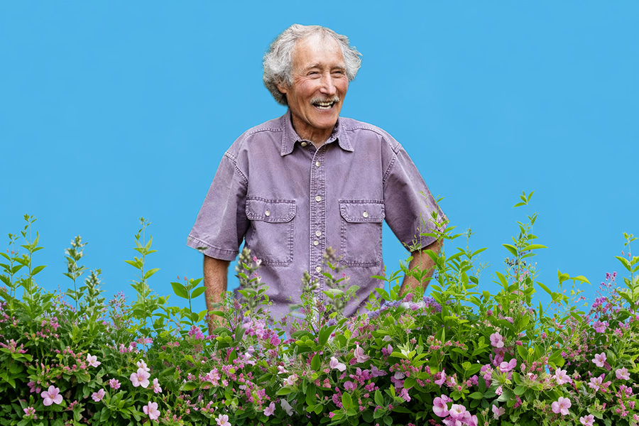 Ciscoe Morris
