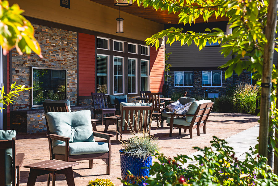 Cozy outdoor seating area with greenery and sunny ambiance.